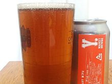 アニバーサリーWIPA（Anniversary WIPA）｜Y.MARKET BREWING